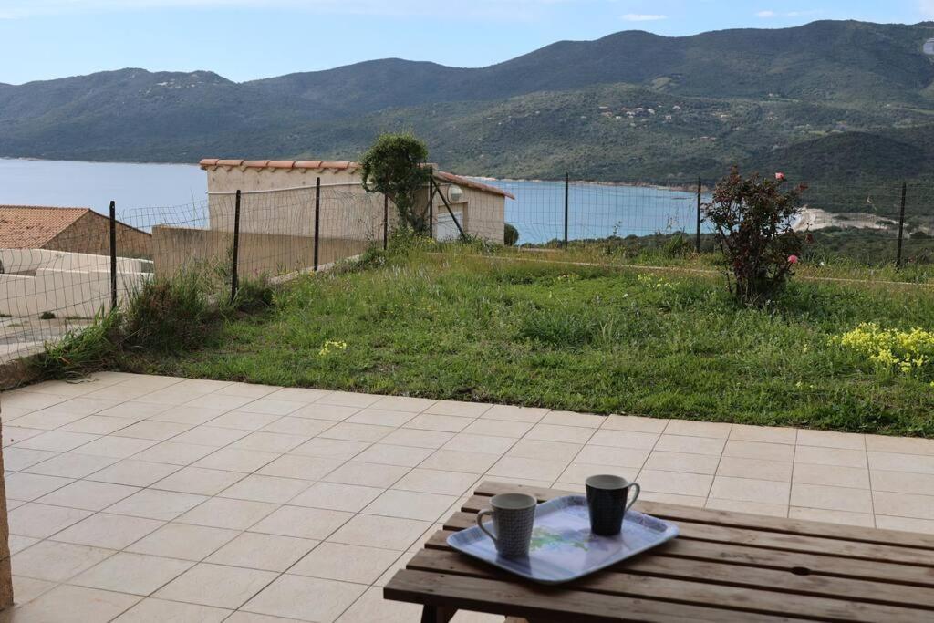Chez Adrien 108-Appartement Magnifique Vue Mer Piscine Chauffee Serra-di-Ferro Kültér fotó
