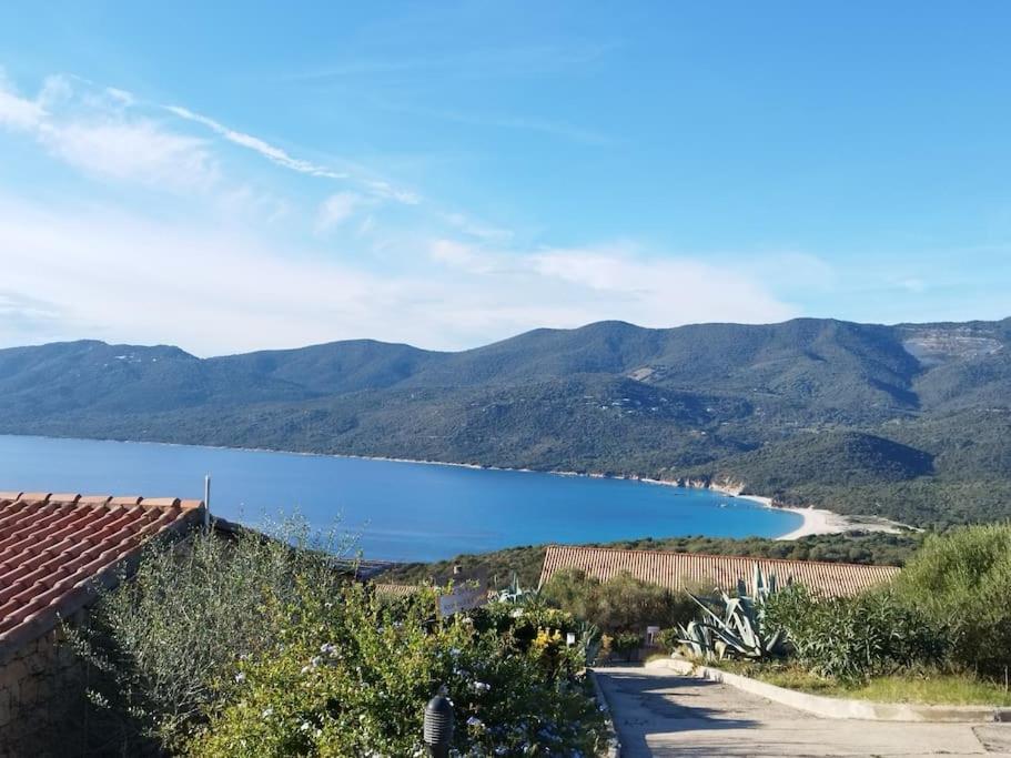 Chez Adrien 108-Appartement Magnifique Vue Mer Piscine Chauffee Serra-di-Ferro Kültér fotó